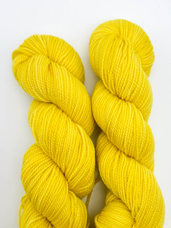 Koigu Hand-Dyed Merino
