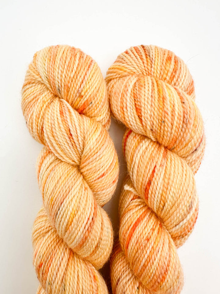 Koigu Hand-Dyed Merino