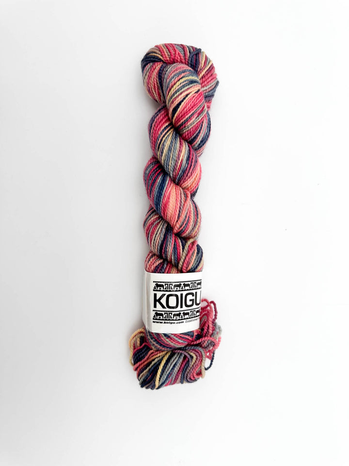 Koigu Hand-Dyed Merino