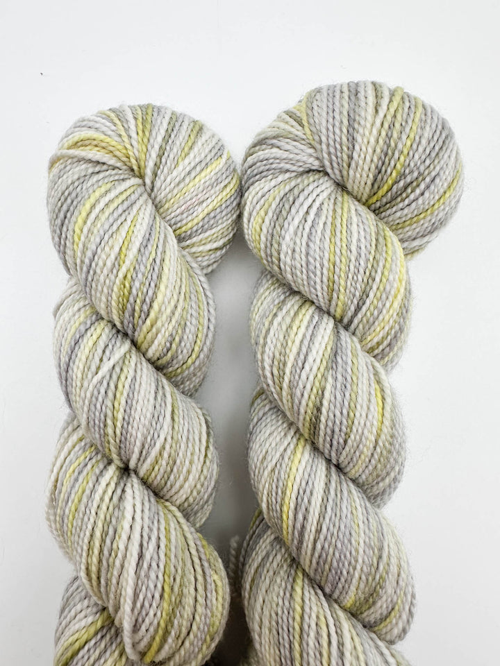 Koigu Hand-Dyed Merino