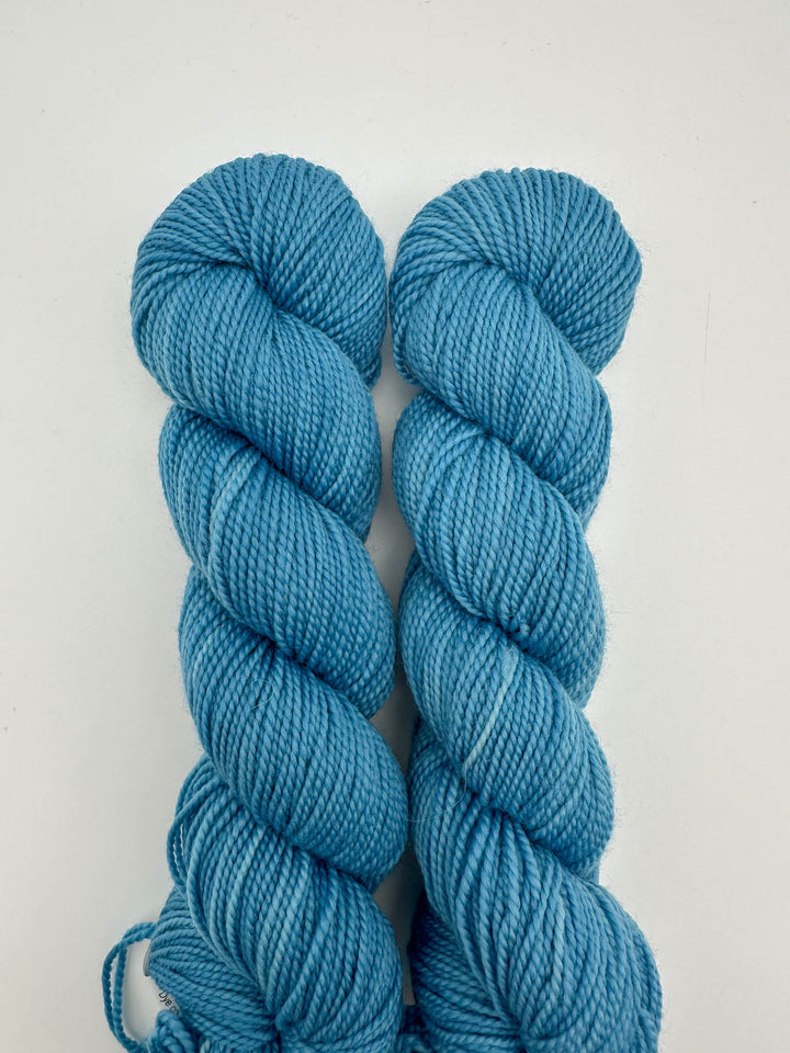 Koigu Hand-Dyed Merino