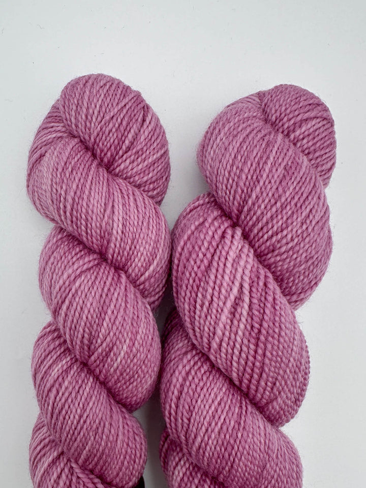Koigu Hand-Dyed Merino