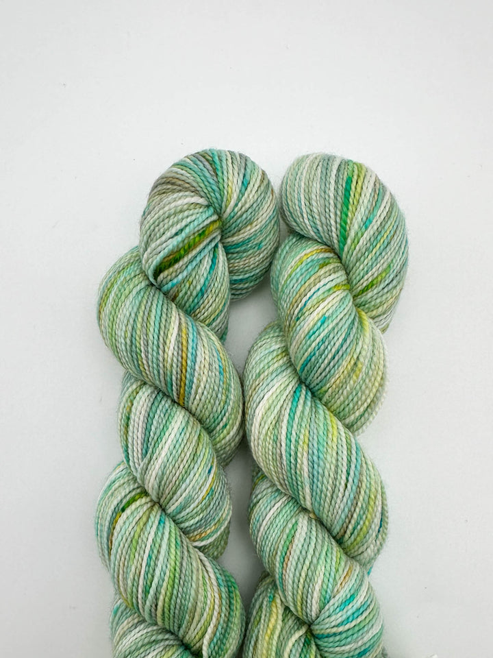 Koigu Hand-Dyed Merino
