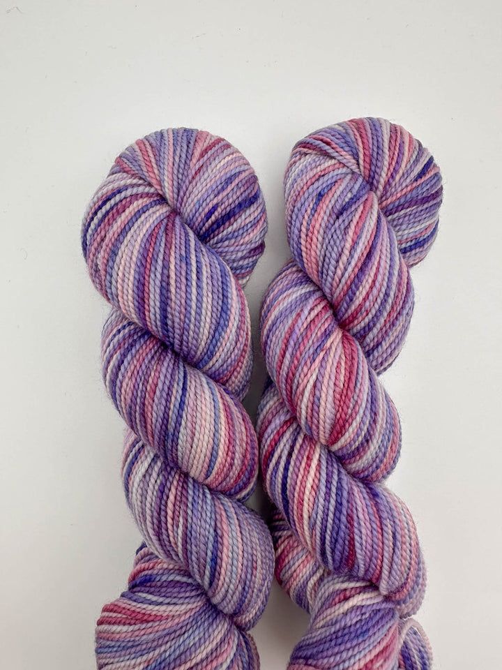 Koigu Hand-Dyed Merino
