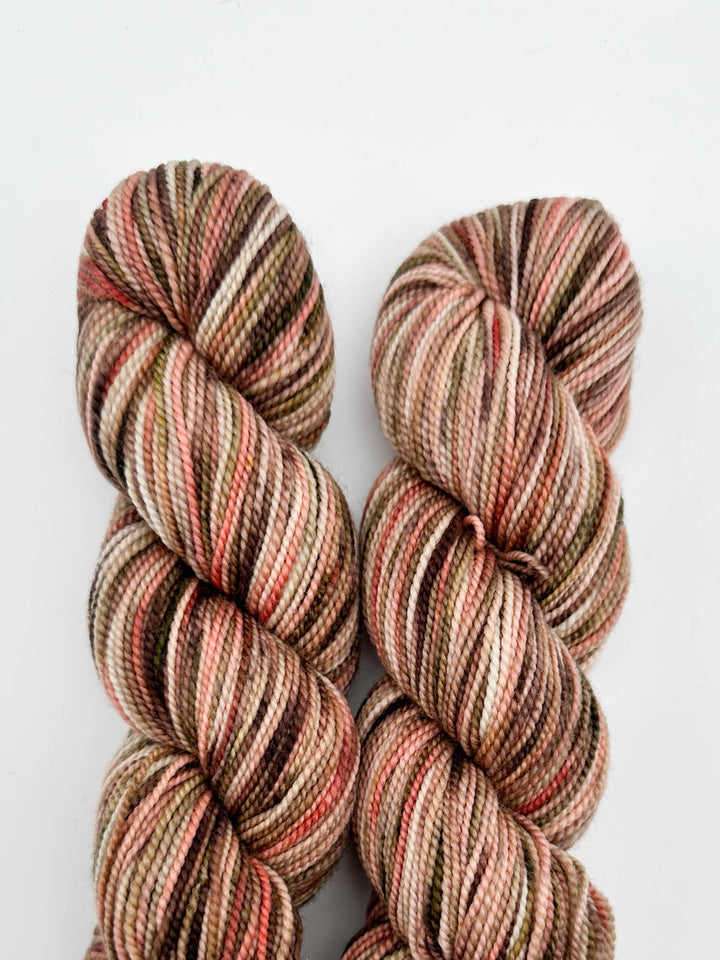 Koigu Hand-Dyed Merino