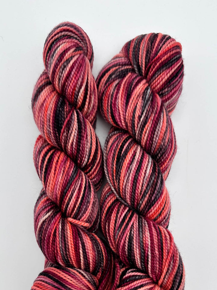 Koigu Hand-Dyed Merino
