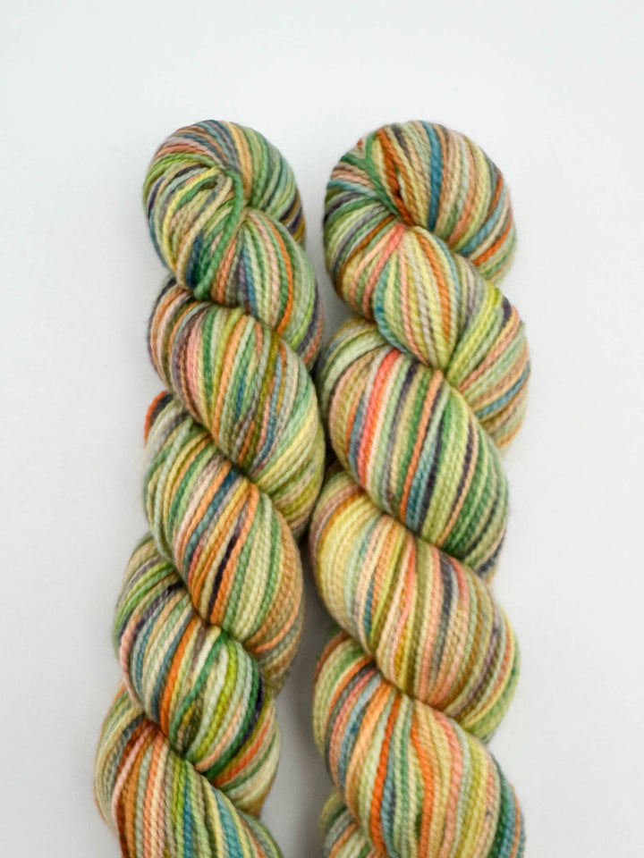 Koigu Hand-Dyed Merino