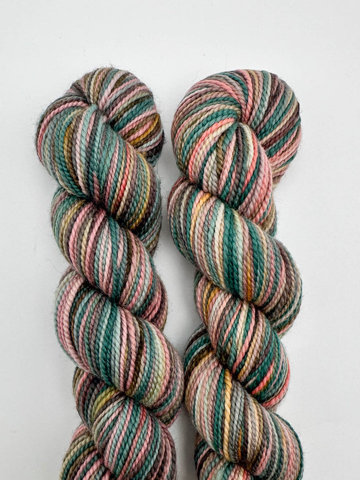 Koigu Hand-Dyed Merino