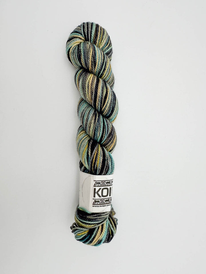 Koigu Hand-Dyed Merino