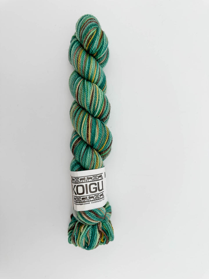 Koigu Hand-Dyed Merino