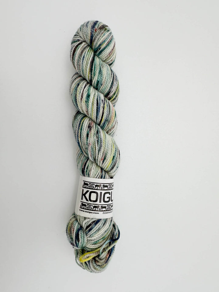 Koigu Hand-Dyed Merino
