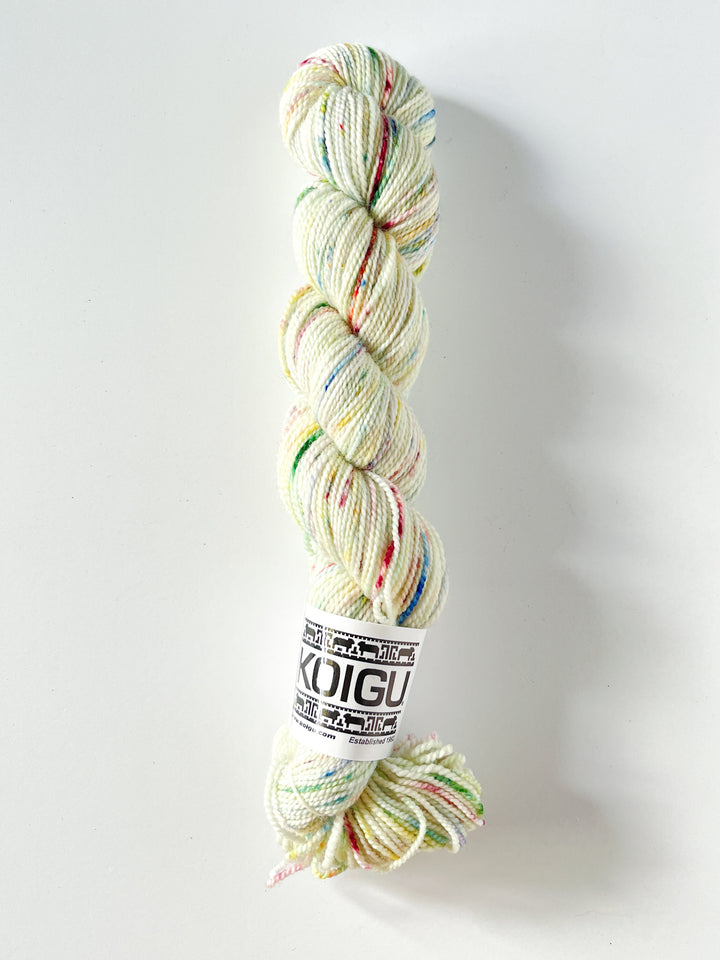 Koigu Hand-Dyed Merino