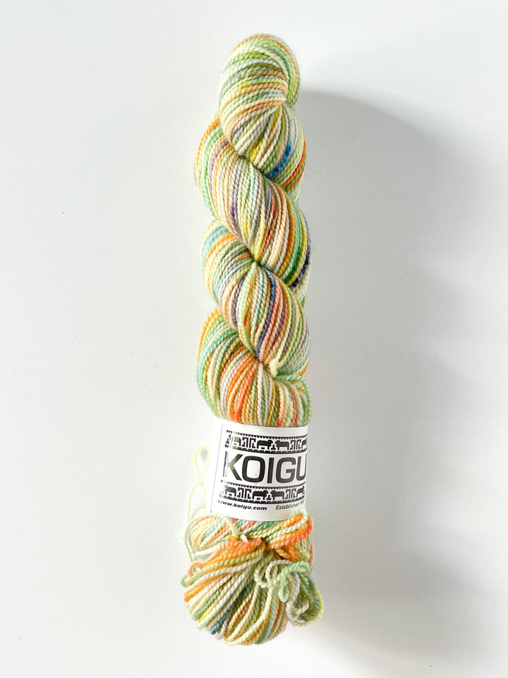 Koigu Hand-Dyed Merino