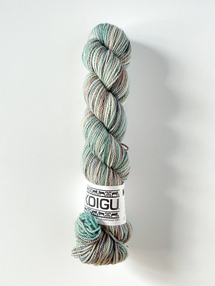 Koigu Hand-Dyed Merino