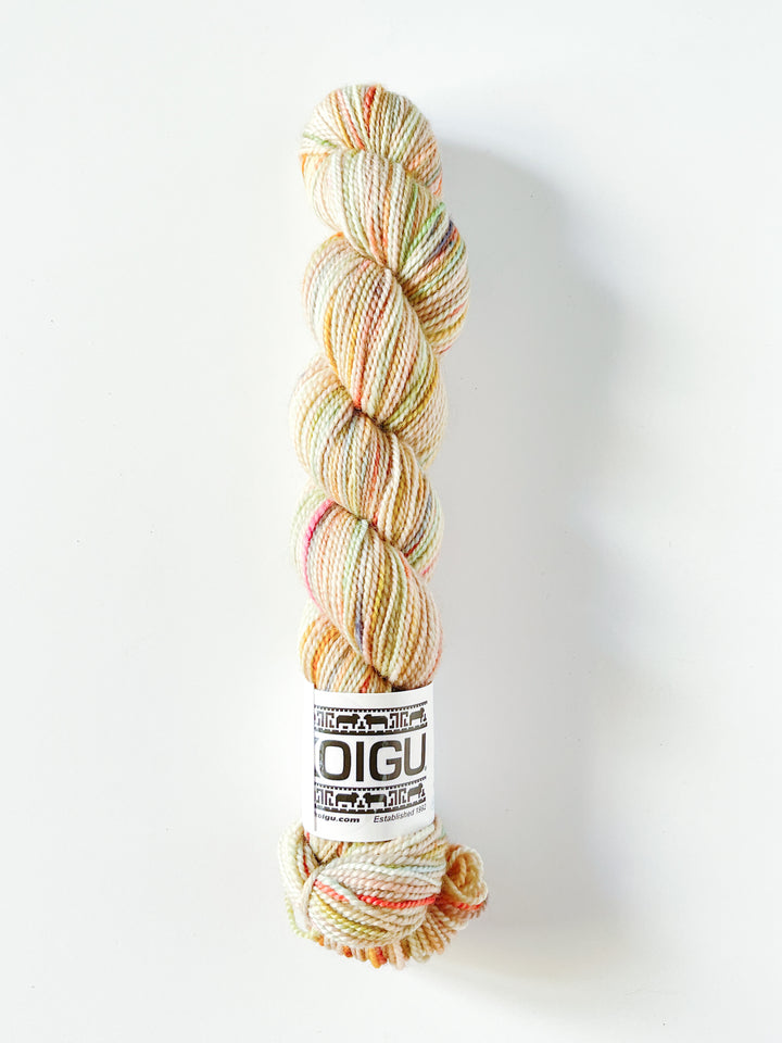 Koigu Hand-Dyed Merino