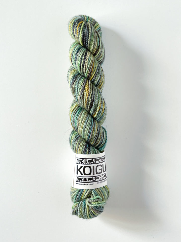 Koigu Hand-Dyed Merino
