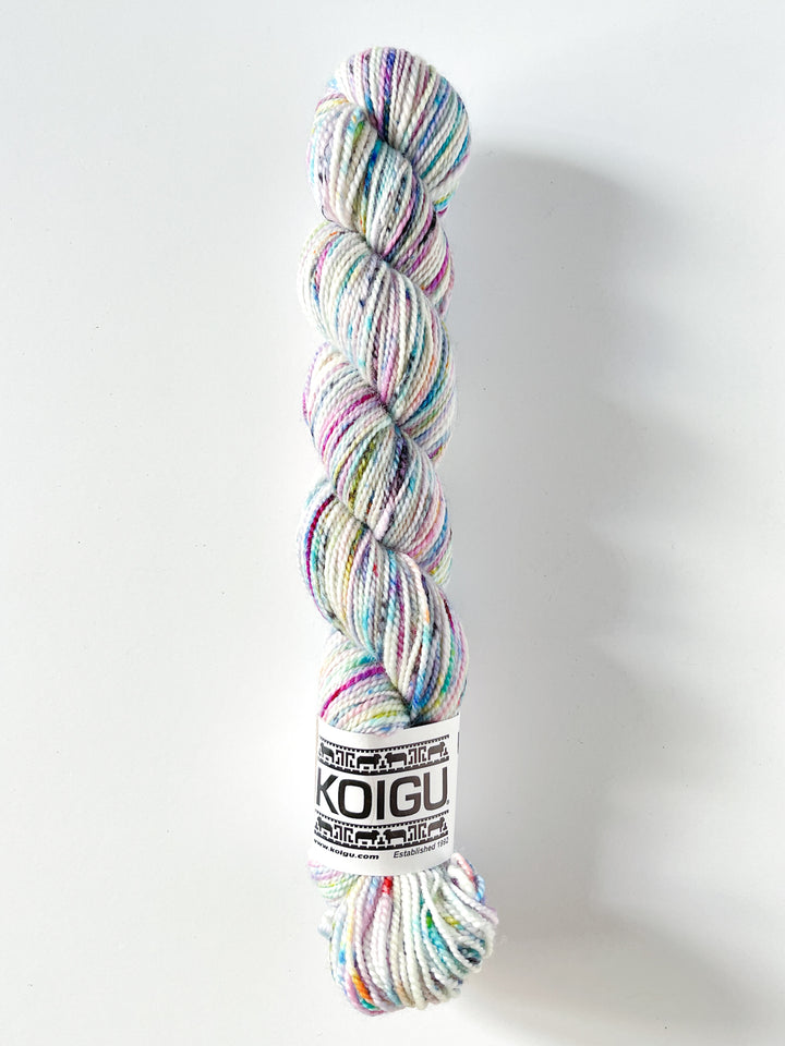 Koigu Hand-Dyed Merino