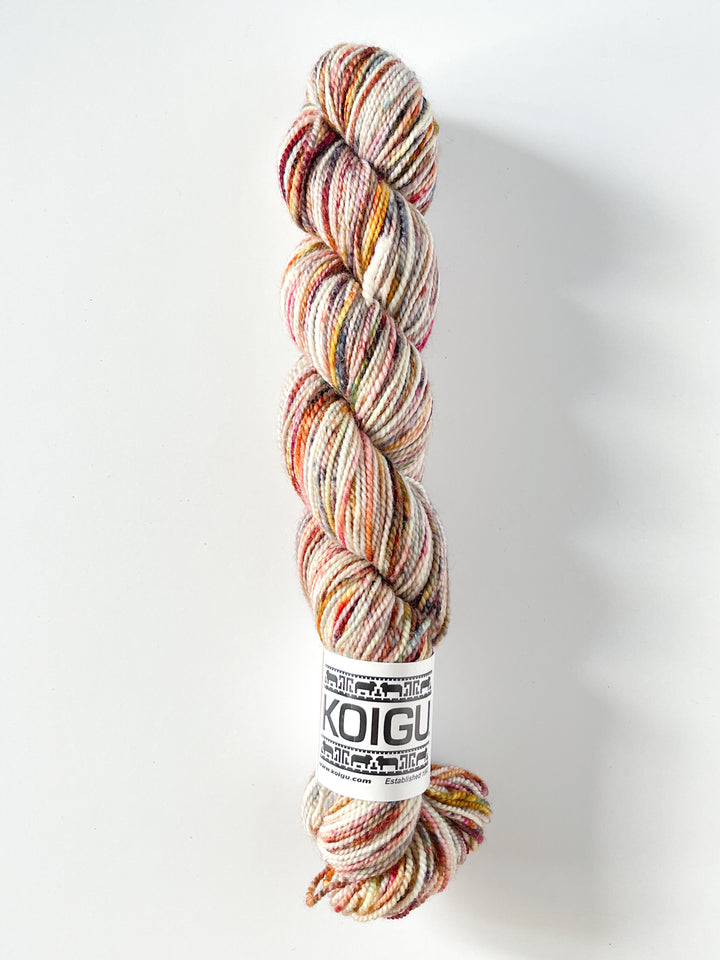 Koigu Hand-Dyed Merino