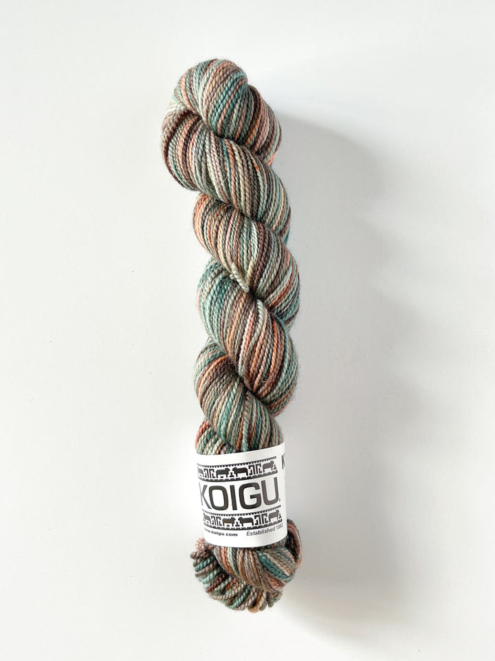 Koigu Hand-Dyed Merino