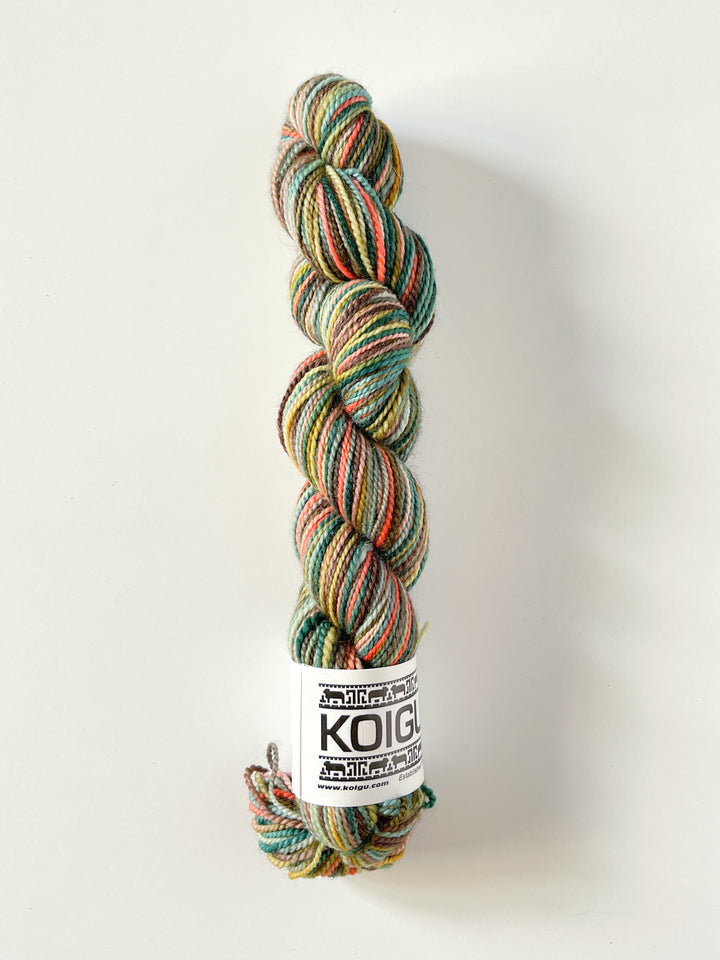 Koigu Hand-Dyed Merino