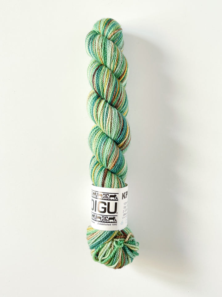 Koigu Hand-Dyed Merino
