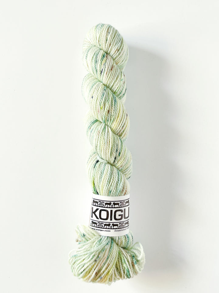 Koigu Hand-Dyed Merino