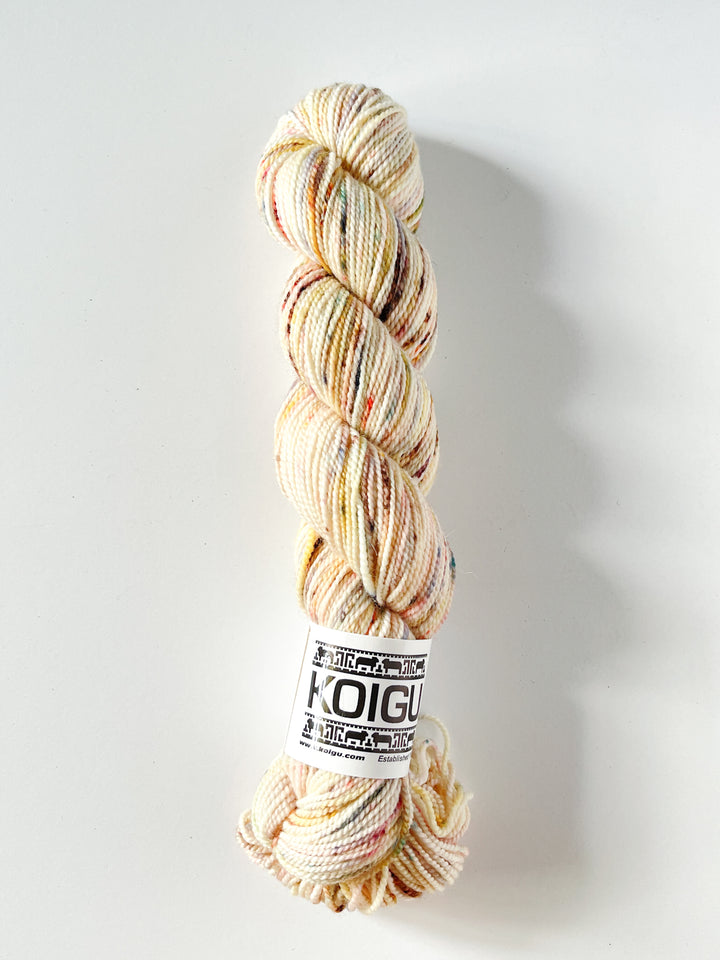 Koigu Hand-Dyed Merino