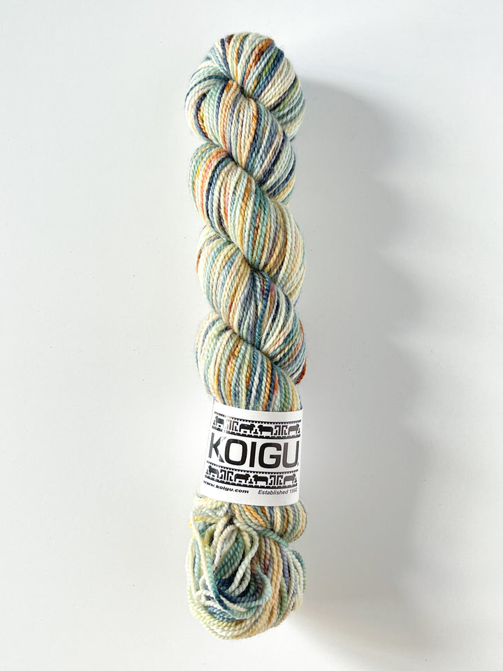 Koigu Hand-Dyed Merino