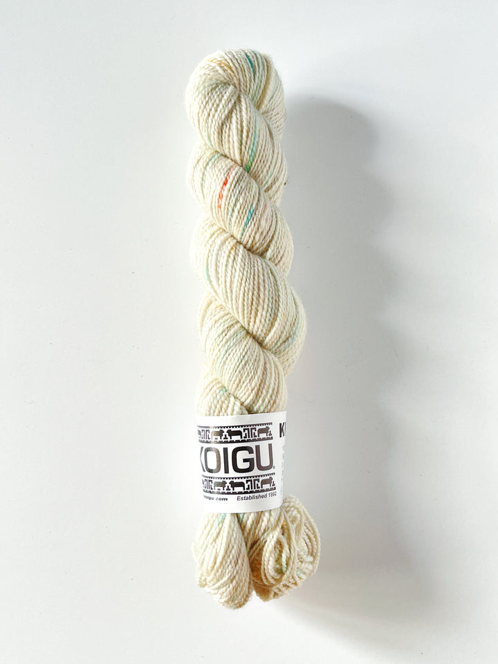 Koigu Hand-Dyed Merino