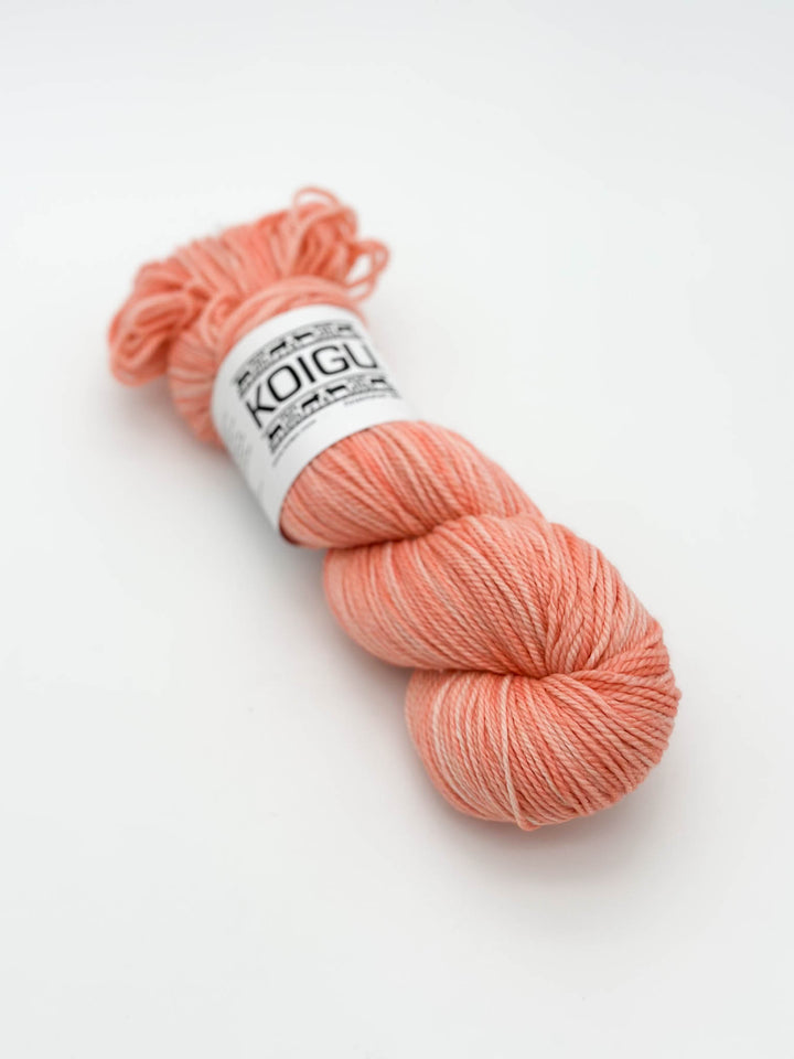 Koigu Jasmine Hand-Dyed 8ply Yarn