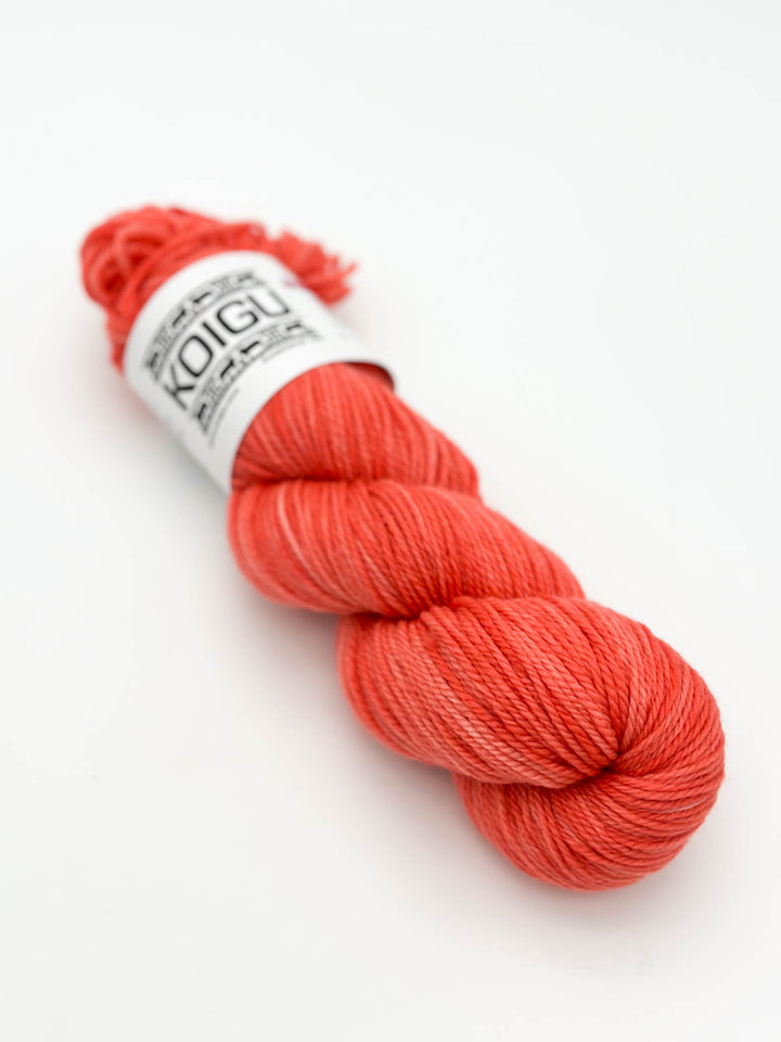 Koigu Jasmine Hand-Dyed 8ply Yarn