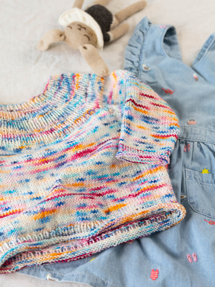 Little Anker's Sweater (Limited Edition)