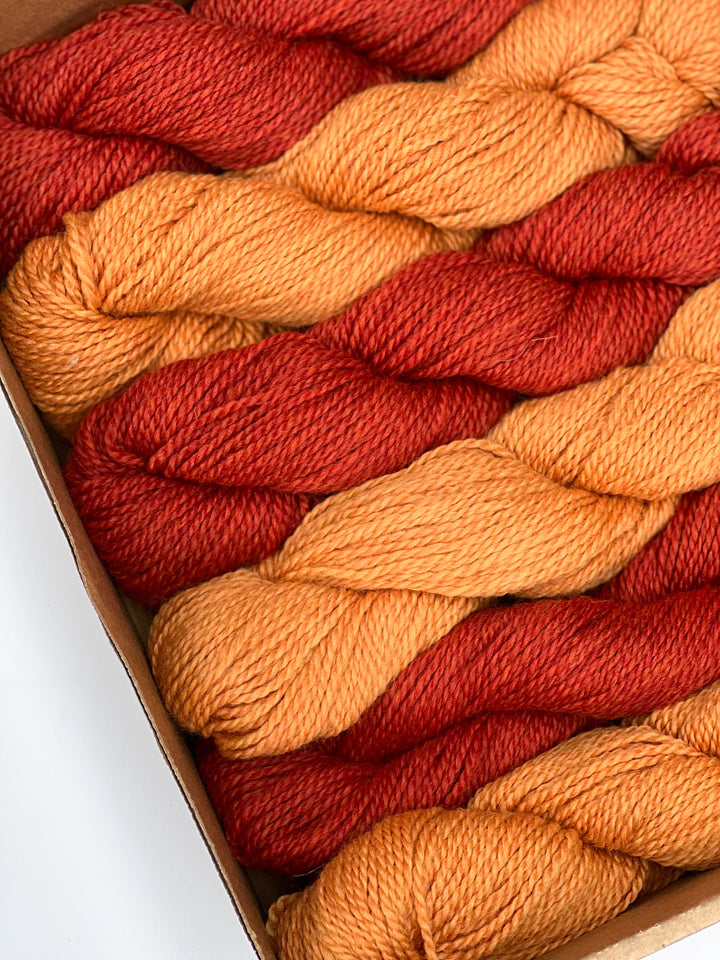 Coffee Bean Cardigan