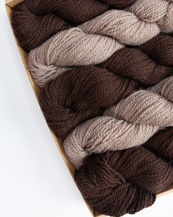 Coffee Bean Cardigan